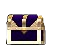 Elegant Jewelry Case